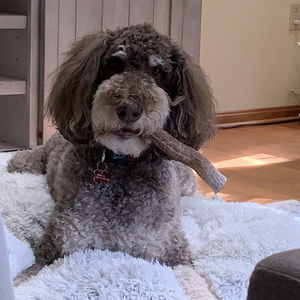 Meet your Posher, Michele